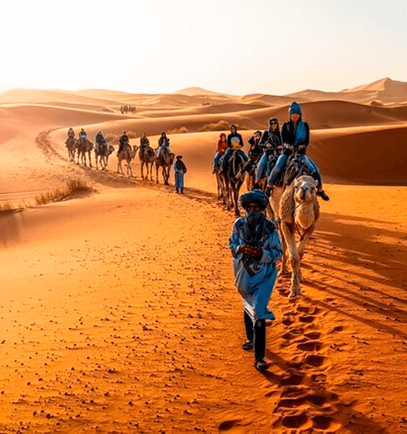 desert1