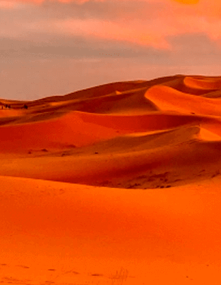 desert3
