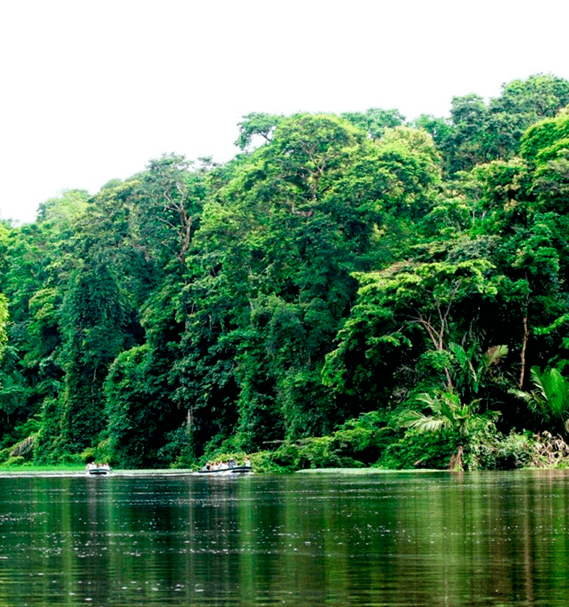 natureza (1)